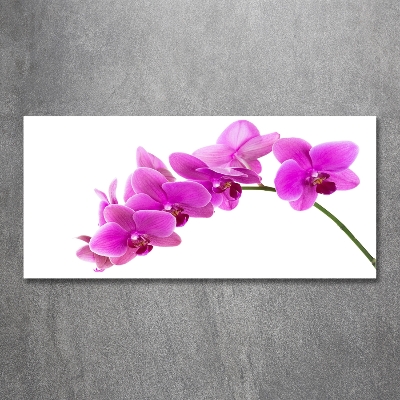 Tableau sur verre Orchidée rose