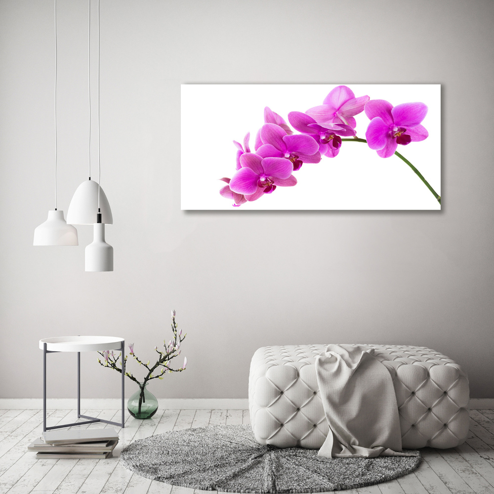 Tableau sur verre Orchidée rose