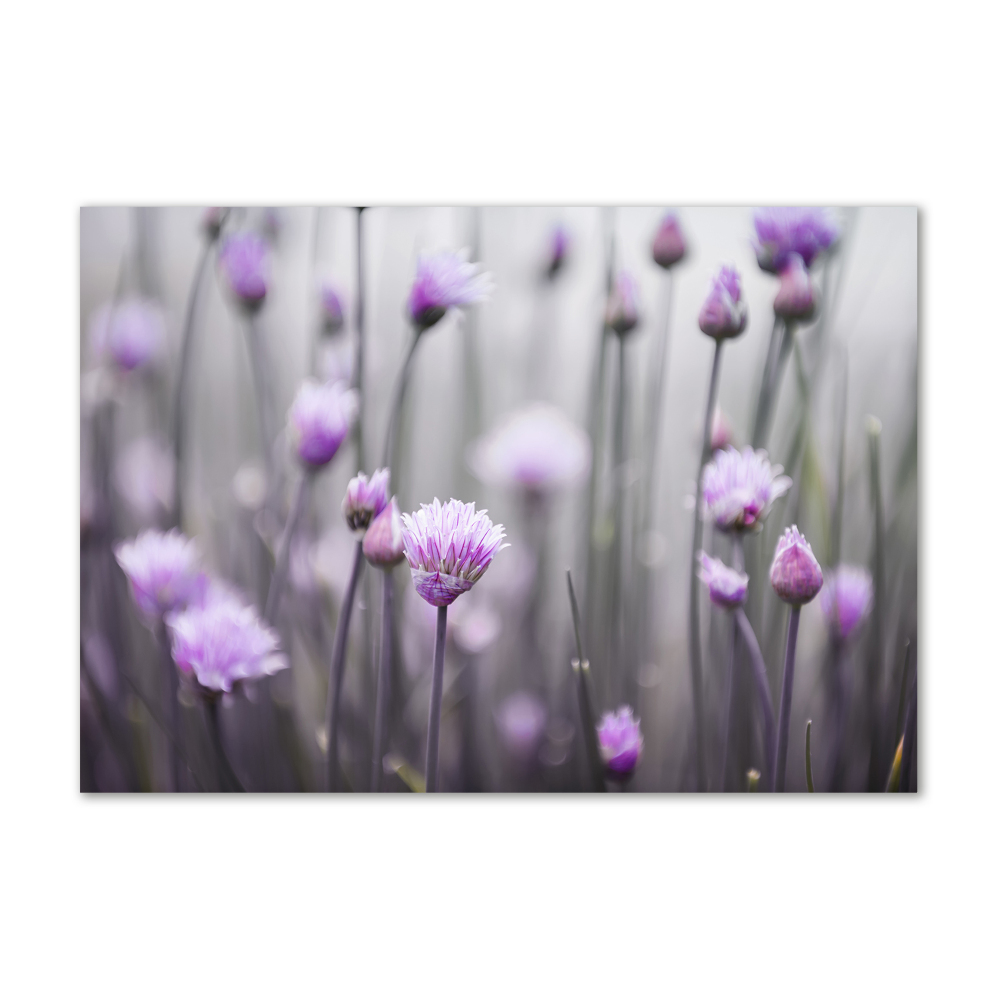 Tableau en verre Fleurs de ciboulette