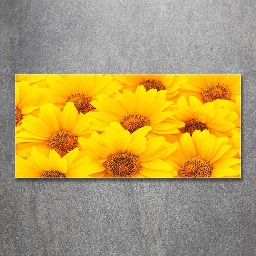 Tableau en verre Tournesol