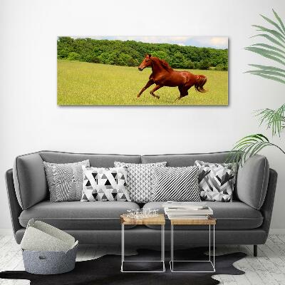 Tableau en verre Cheval dans un pré