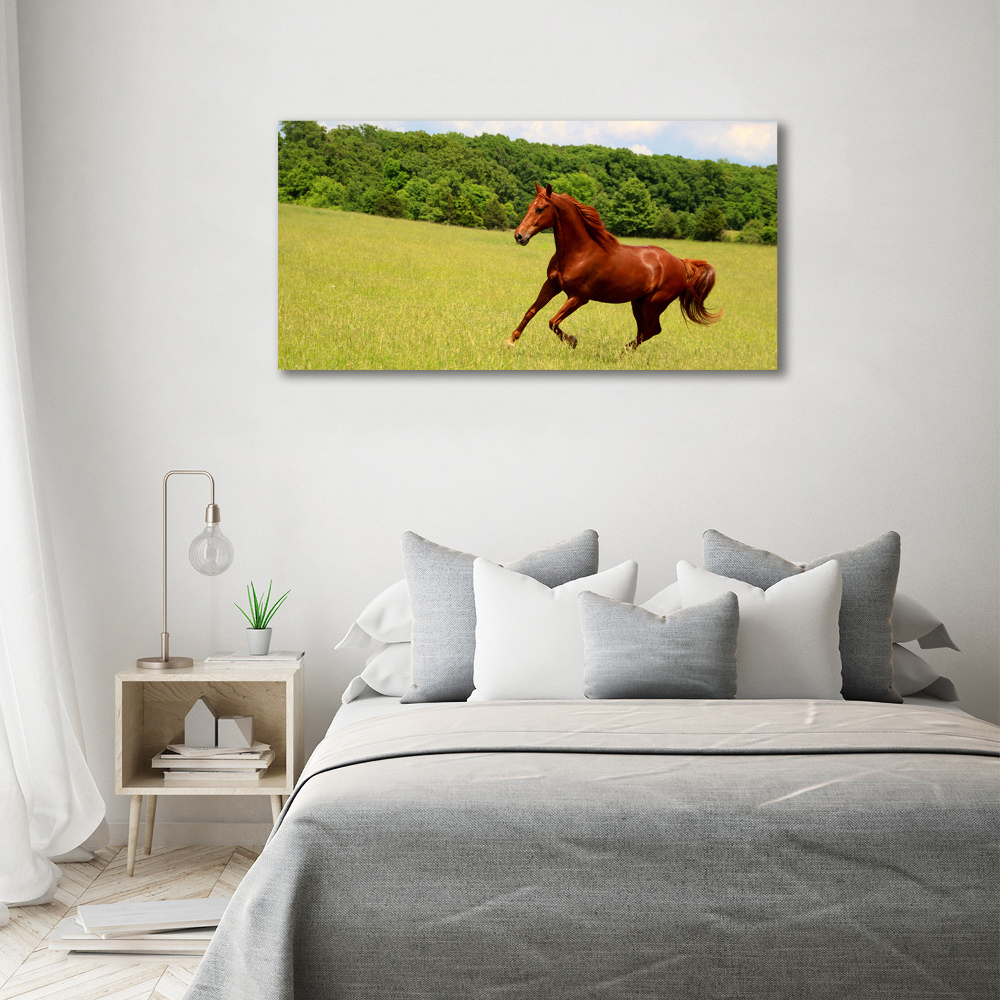 Tableau en verre Cheval dans un pré