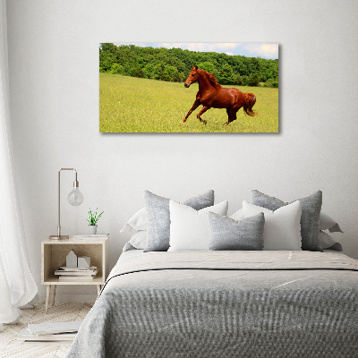 Tableau en verre Cheval dans un pré