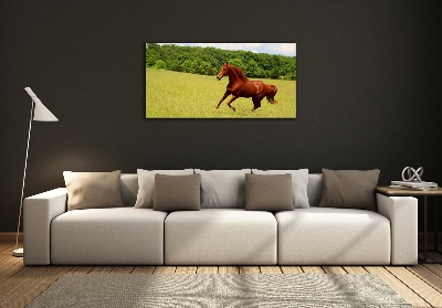 Tableau en verre Cheval dans un pré