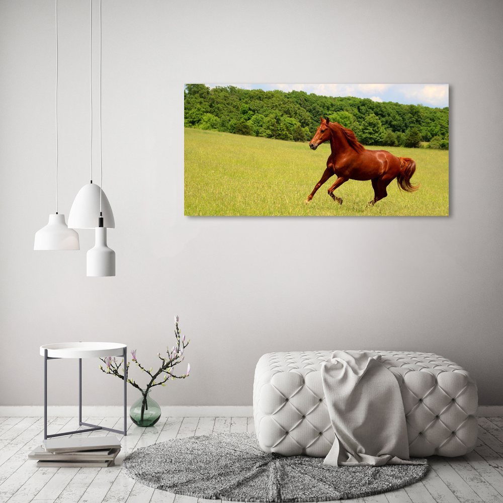 Tableau en verre Cheval dans un pré