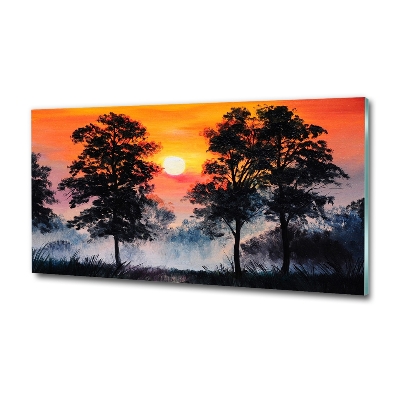 Tableau photo sur verre Forêt crépusculaire