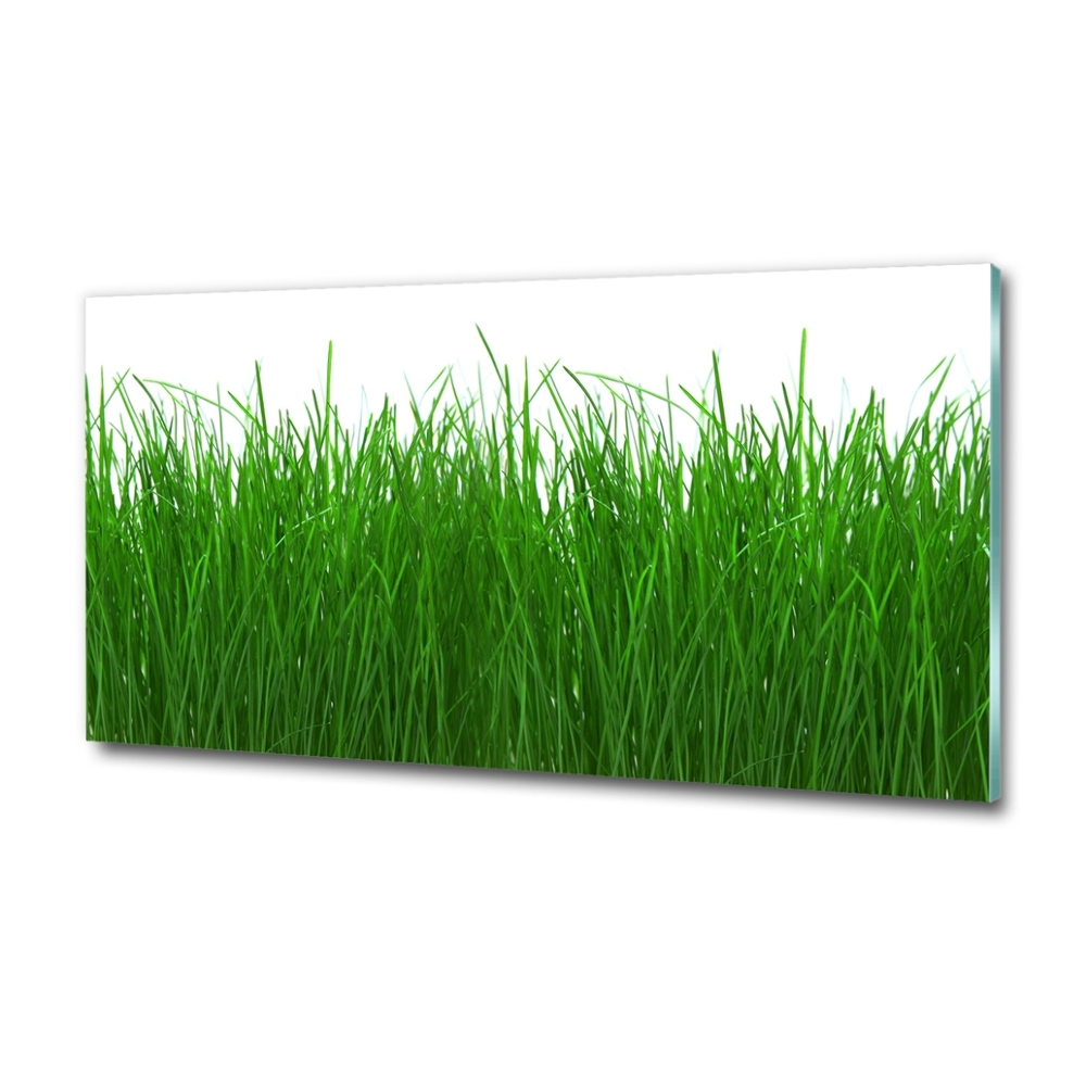 Tableau en verre Herbe