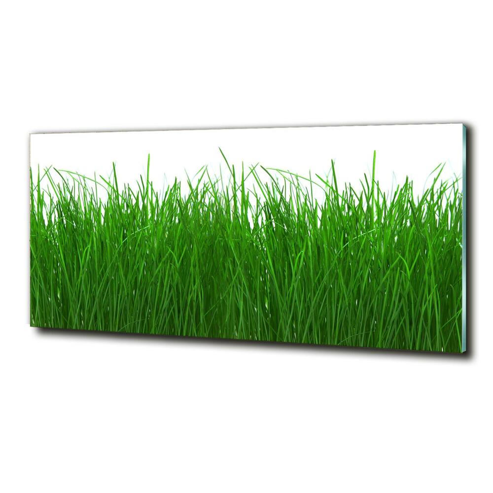 Tableau en verre Herbe