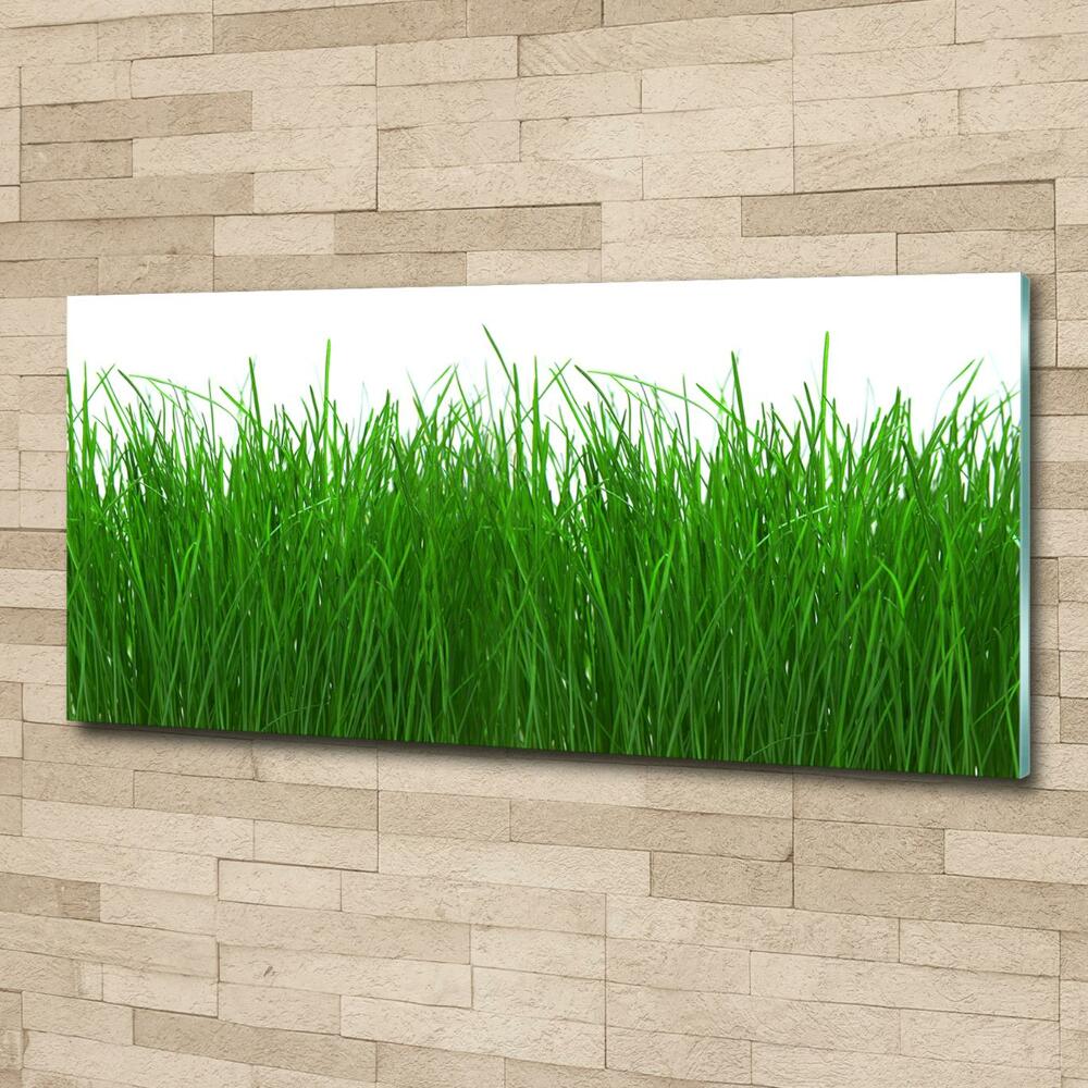 Tableau en verre Herbe