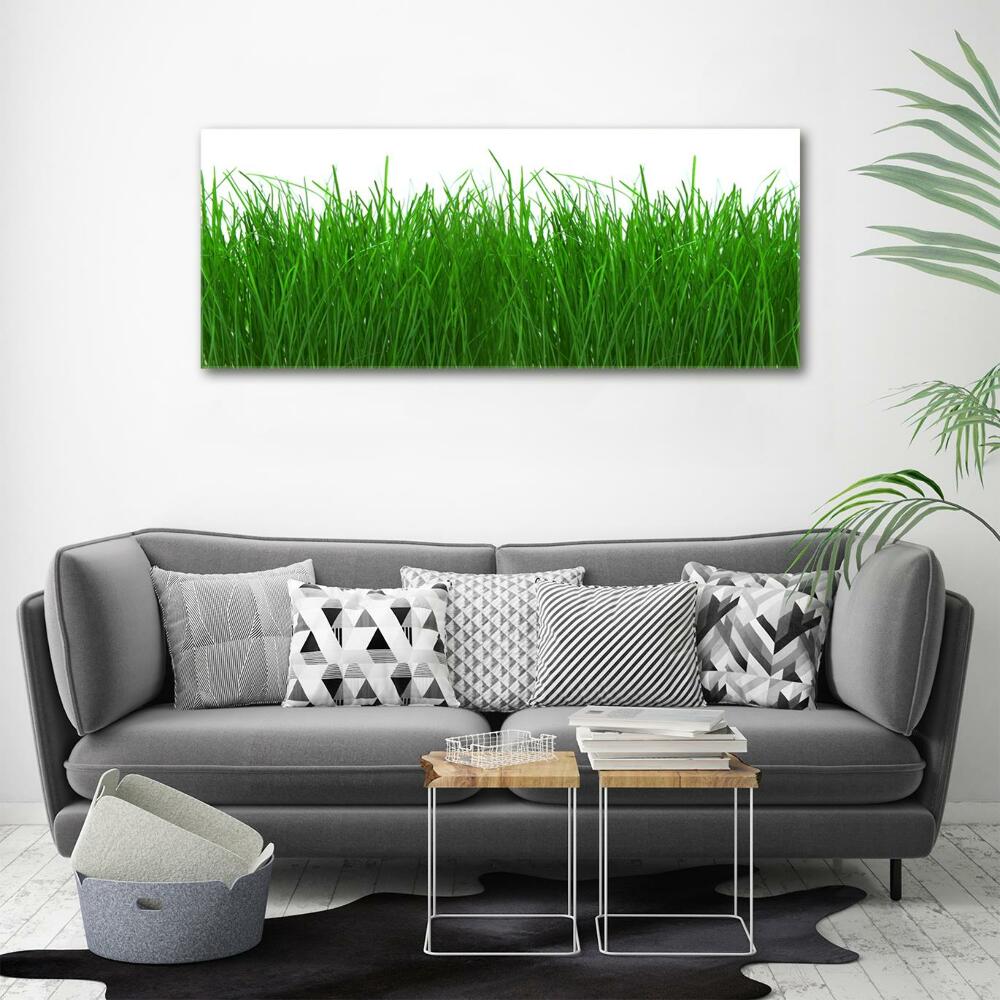 Tableau en verre Herbe