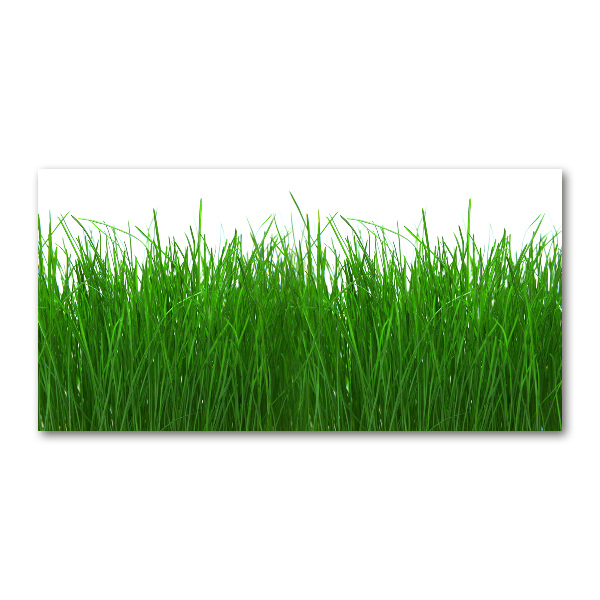Tableau en verre Herbe