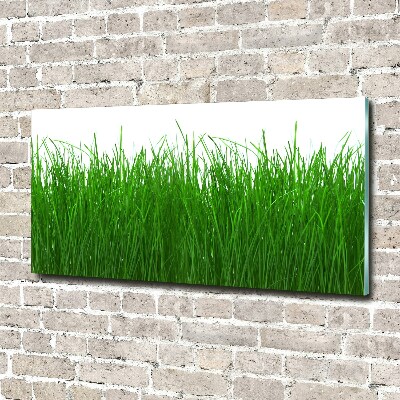 Tableau en verre Herbe