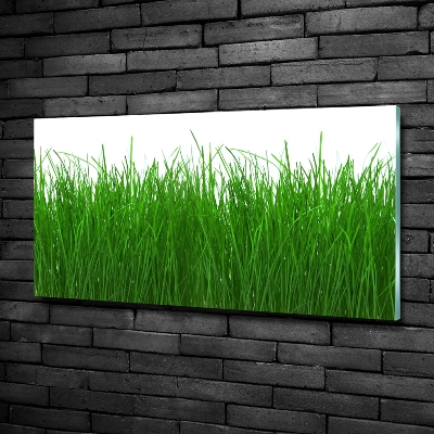 Tableau en verre Herbe