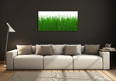 Tableau en verre Herbe