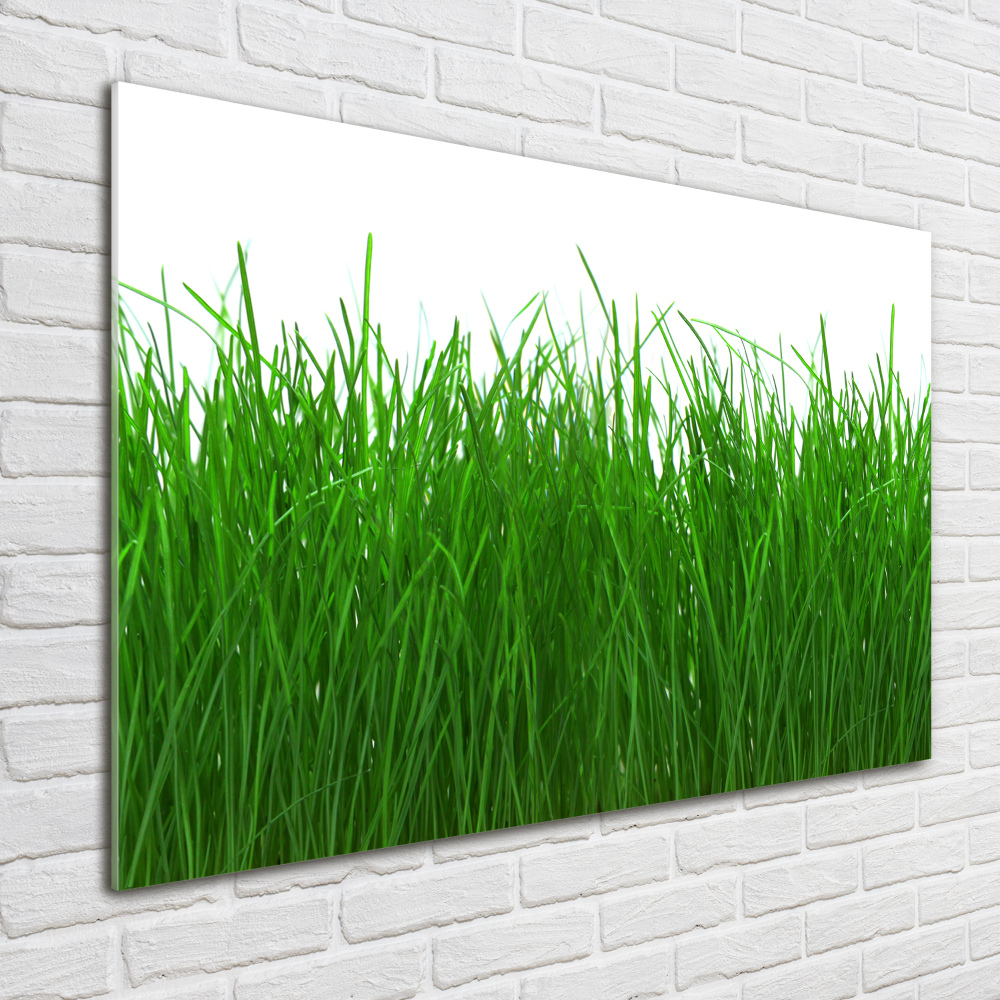 Tableau en verre Herbe