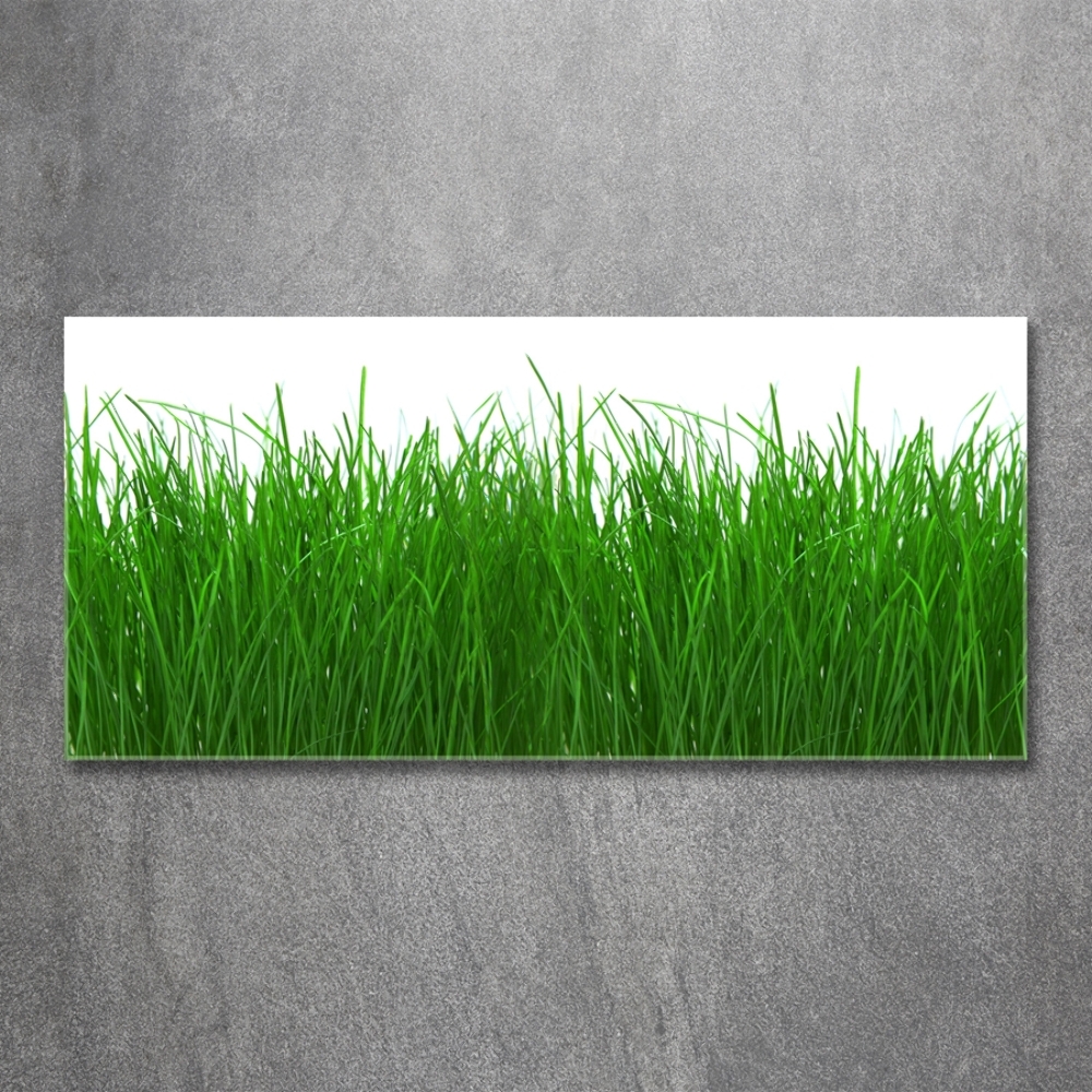 Tableau en verre Herbe