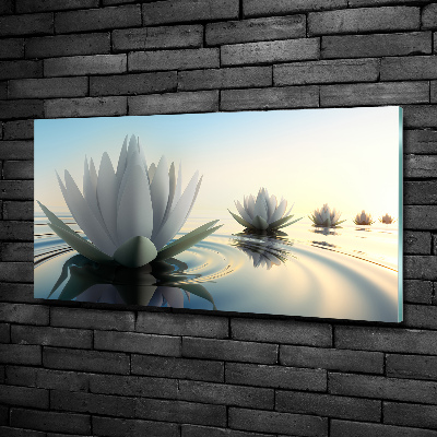 Tableau imprimé sur verre Fleur de lotus