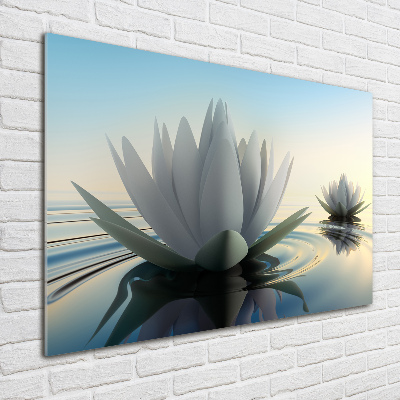 Tableau imprimé sur verre Fleur de lotus