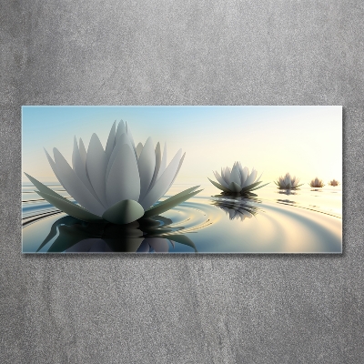 Tableau imprimé sur verre Fleur de lotus