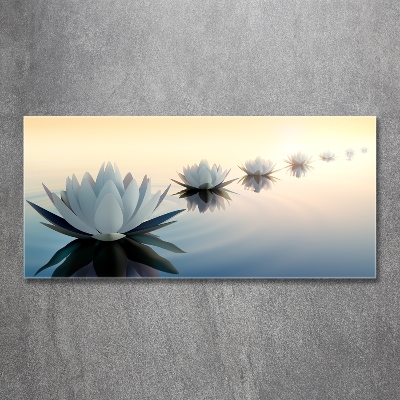 Tableau verre imprimé Fleurs de lotus