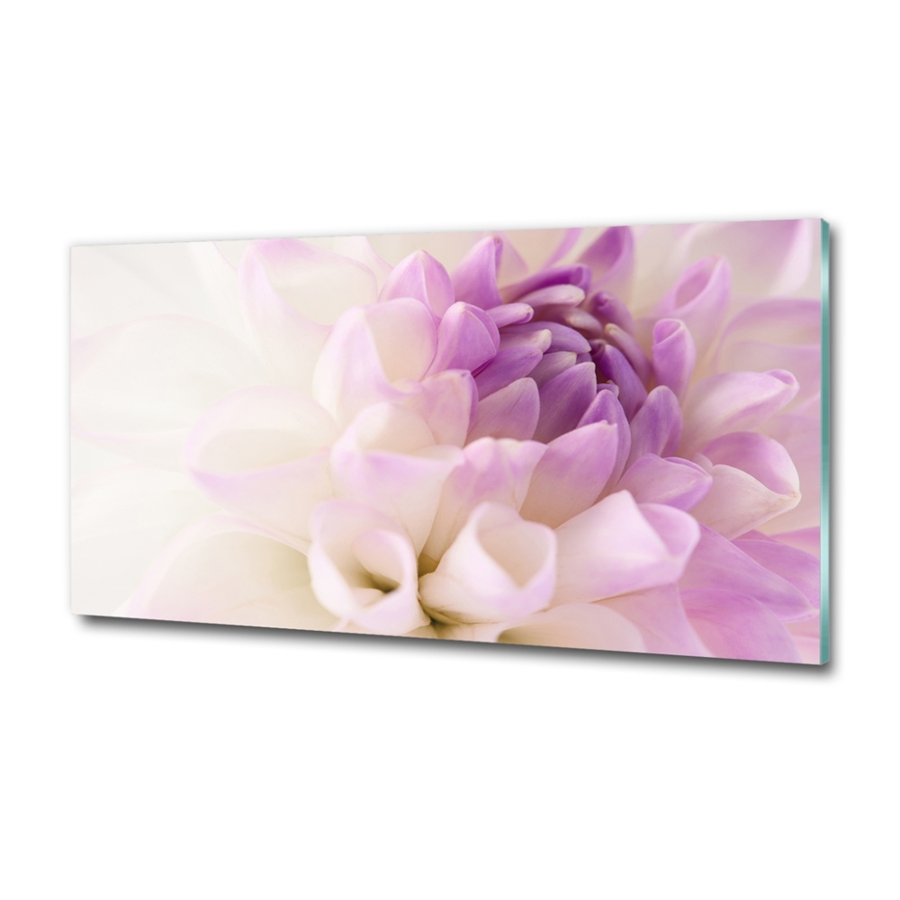 Tableau verre imprimé Dahlia blanc