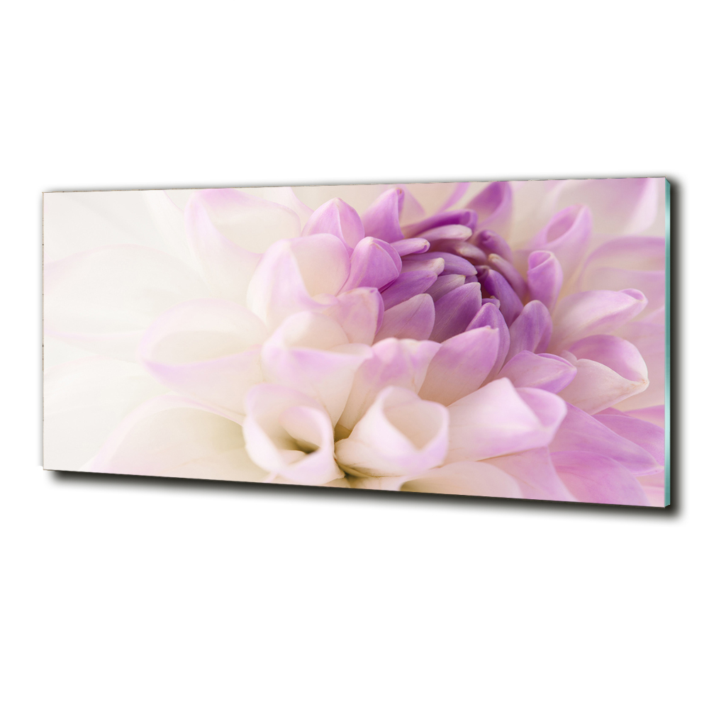 Tableau verre imprimé Dahlia blanc