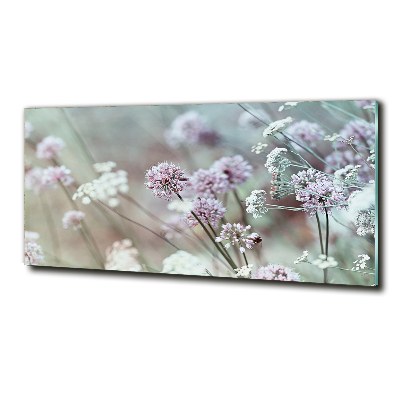 Tableau sur verre Fleurs sauvages