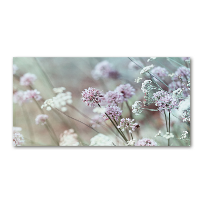 Tableau sur verre Fleurs sauvages