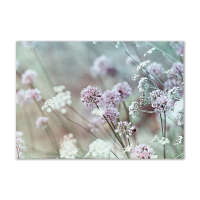 Tableau sur verre Fleurs sauvages