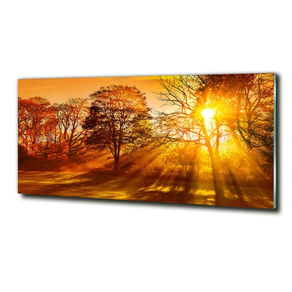 Tableau en verre Coucher de soleil