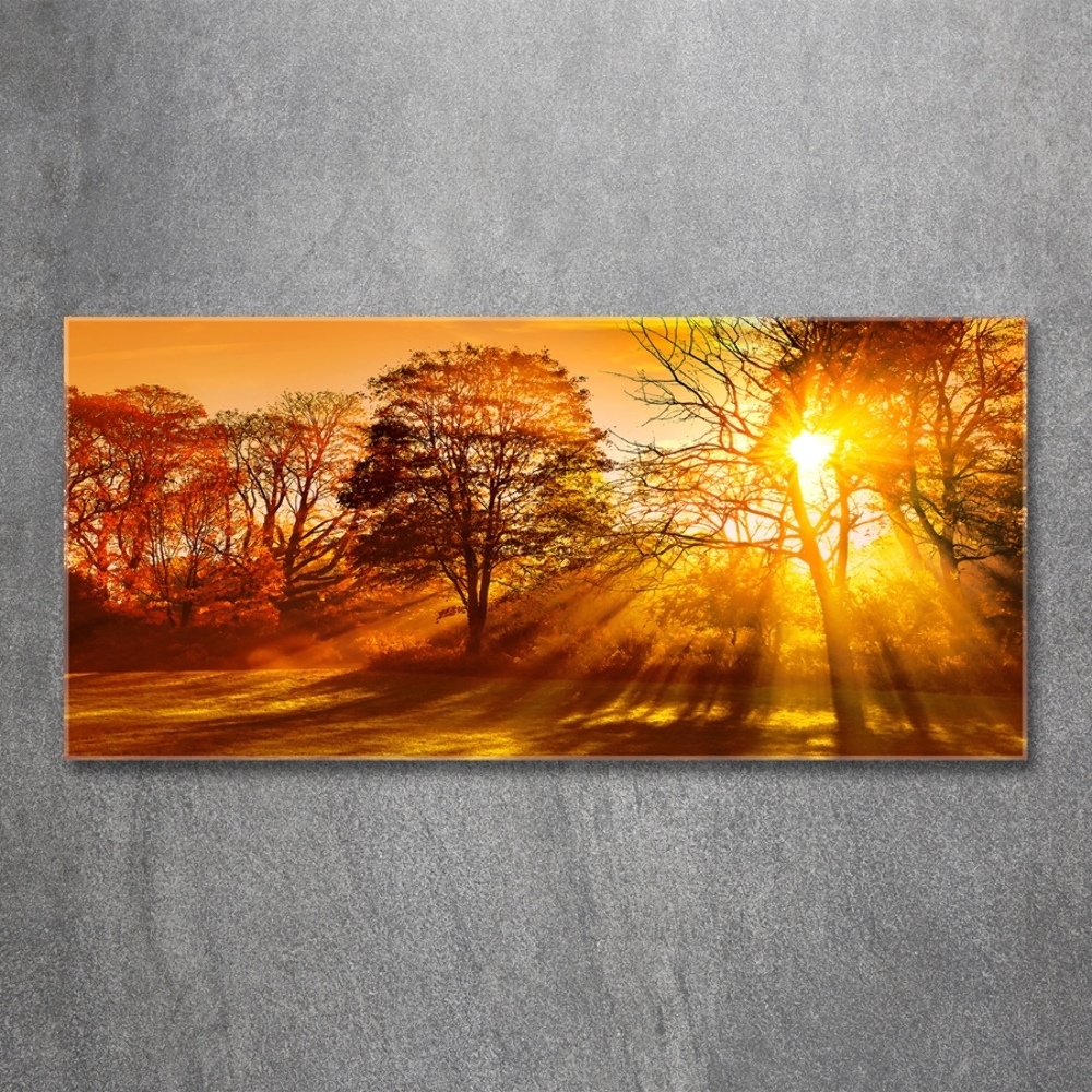 Tableau en verre Coucher de soleil