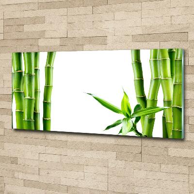 Tableau photo sur verre Bambou