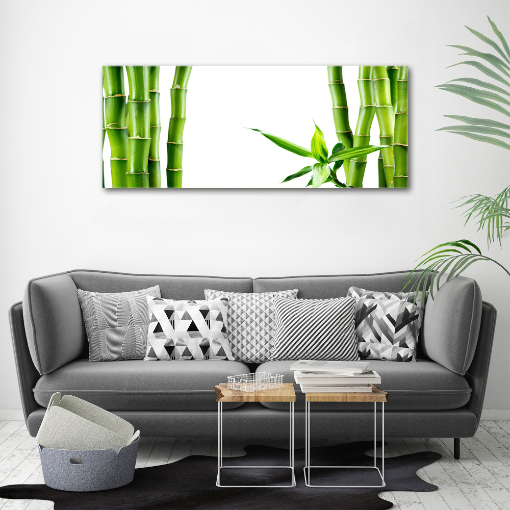 Tableau photo sur verre Bambou