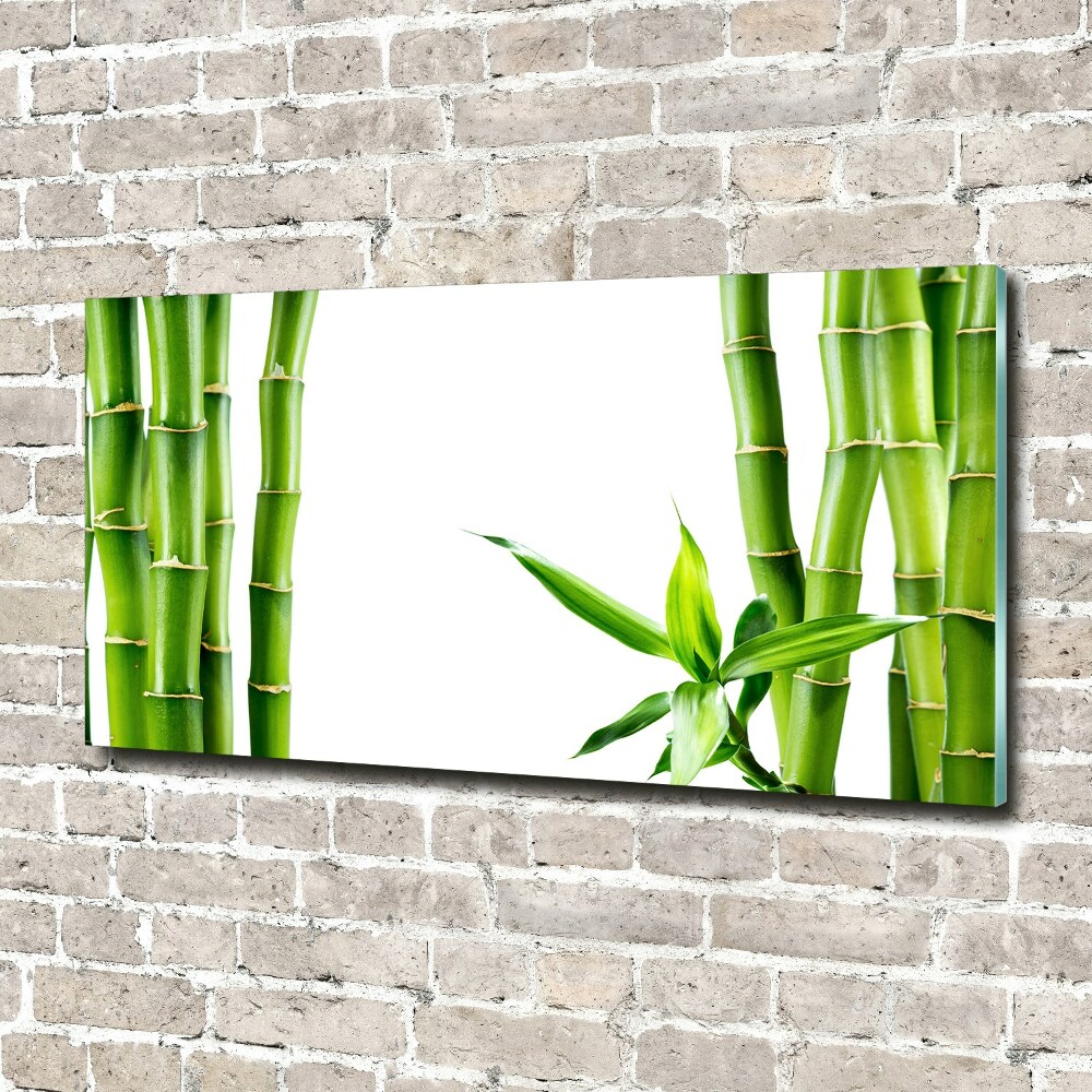 Tableau photo sur verre Bambou