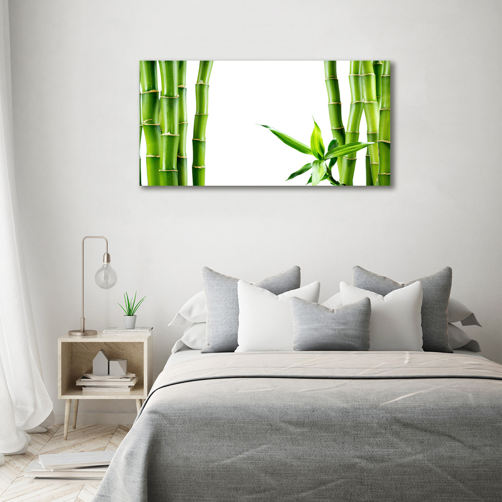 Tableau photo sur verre Bambou