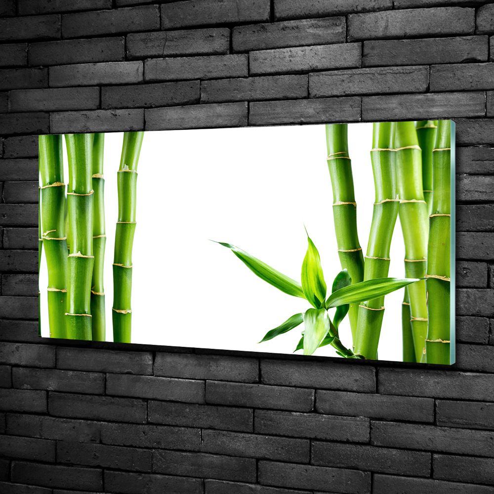 Tableau photo sur verre Bambou