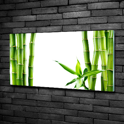 Tableau photo sur verre Bambou