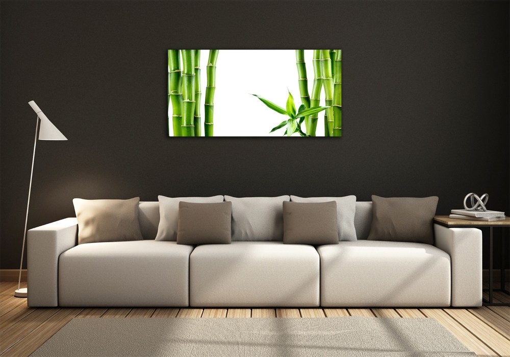 Tableau photo sur verre Bambou