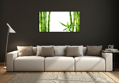 Tableau photo sur verre Bambou