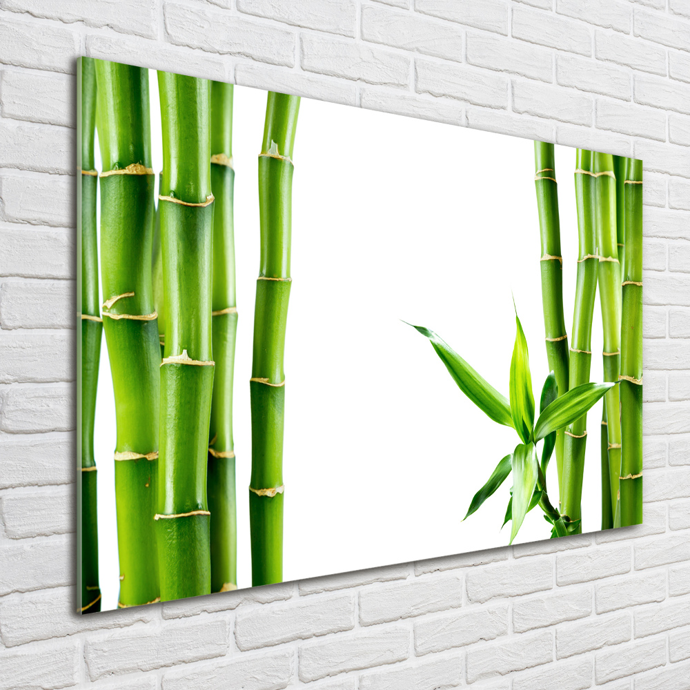 Tableau photo sur verre Bambou