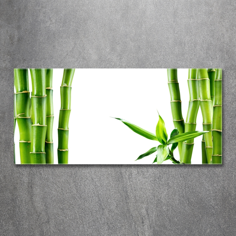 Tableau photo sur verre Bambou