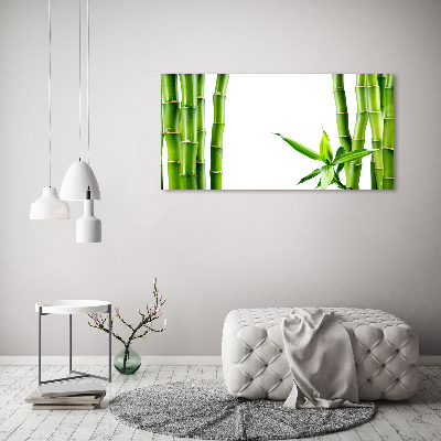 Tableau photo sur verre Bambou