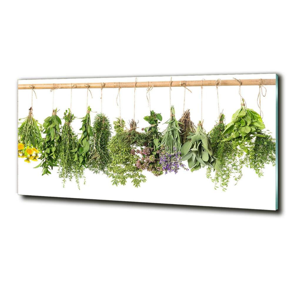 Tableau sur verre Herbes sur une ficelle