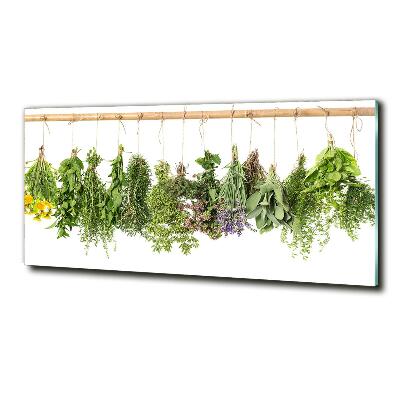 Tableau sur verre Herbes sur une ficelle