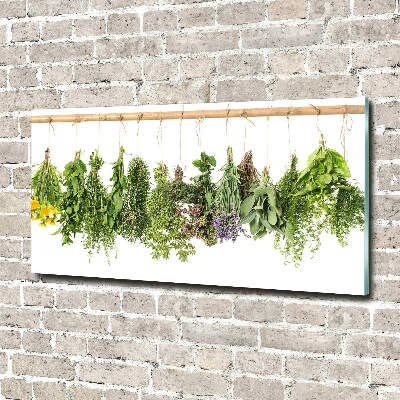 Tableau sur verre Herbes sur une ficelle