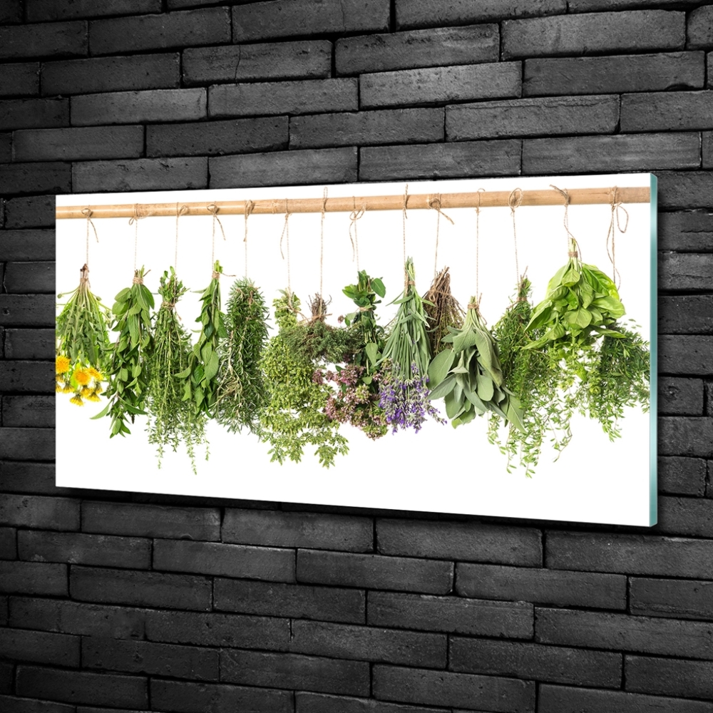 Tableau sur verre Herbes sur une ficelle