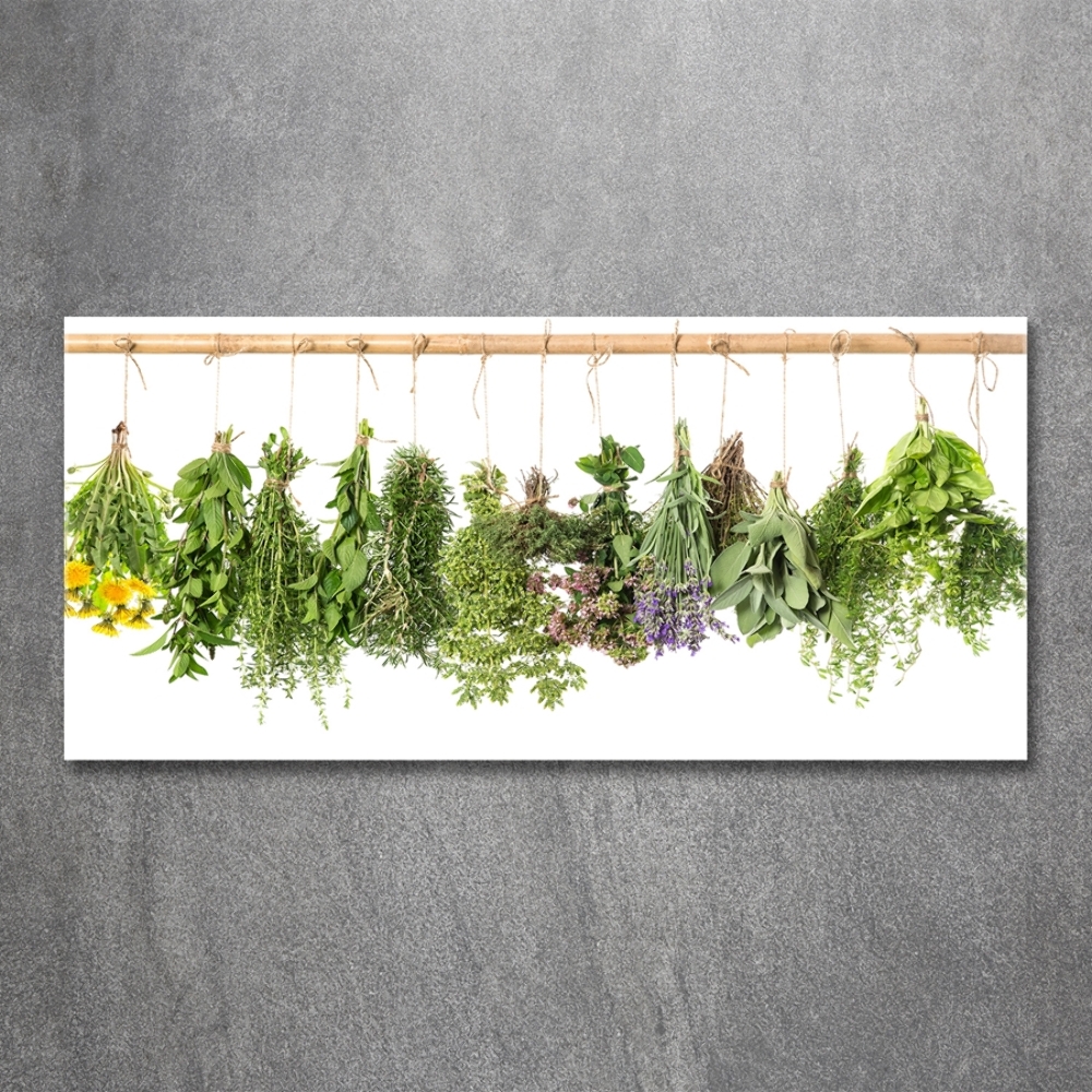 Tableau sur verre Herbes sur une ficelle