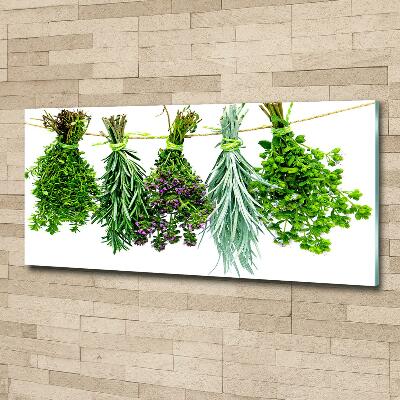 Tableau en verre Herbes sur une ficelle