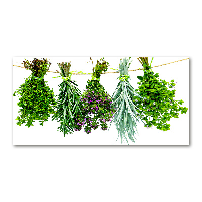 Tableau en verre Herbes sur une ficelle