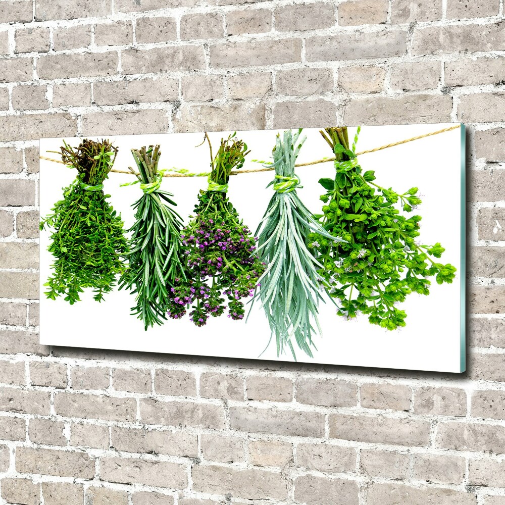 Tableau en verre Herbes sur une ficelle